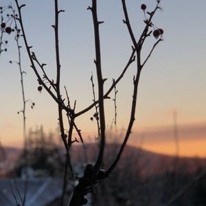 Meet your Posher, Ava